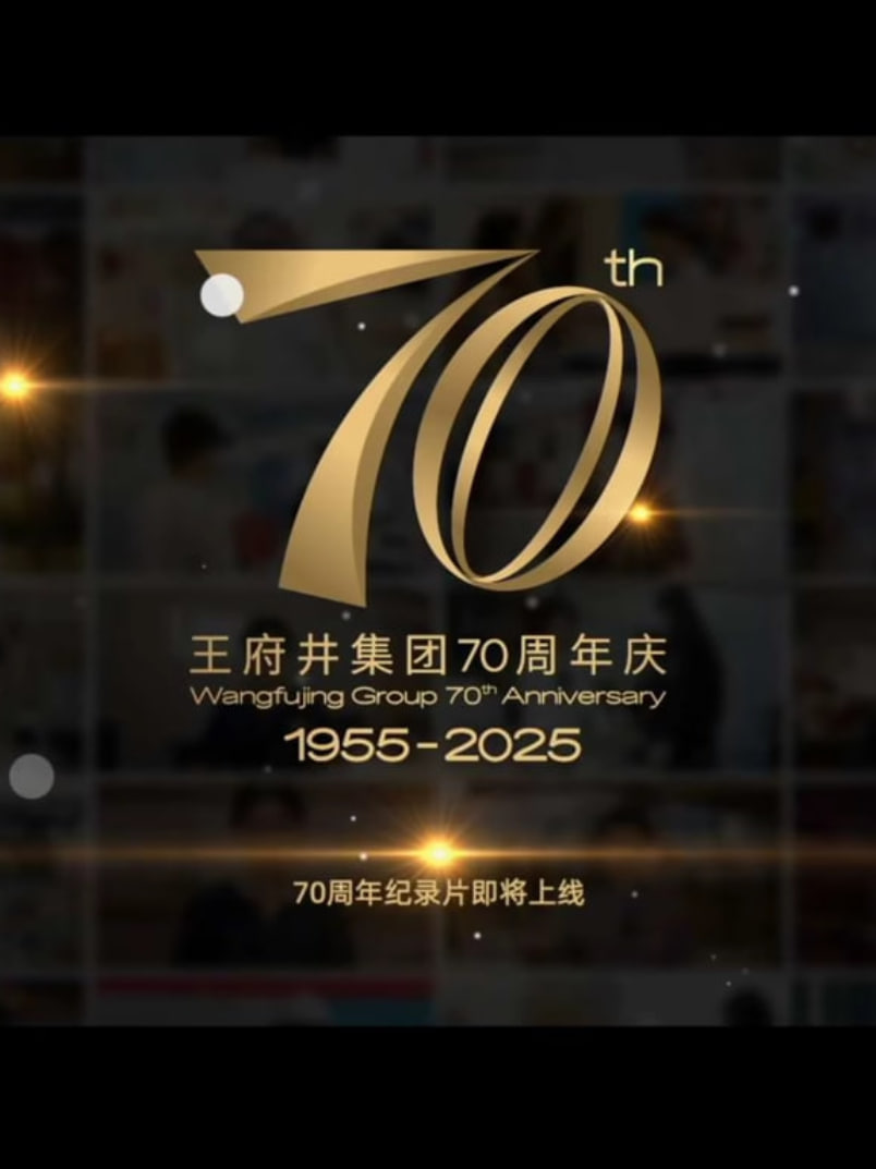 新中国商业70年——王府井集团(全集)