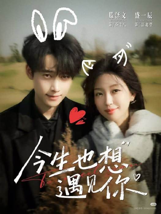 今生也想遇见你(全集)